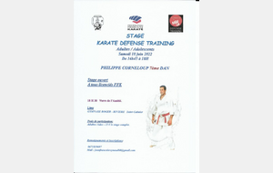 stage de Karate Defense Training a St Galmier 